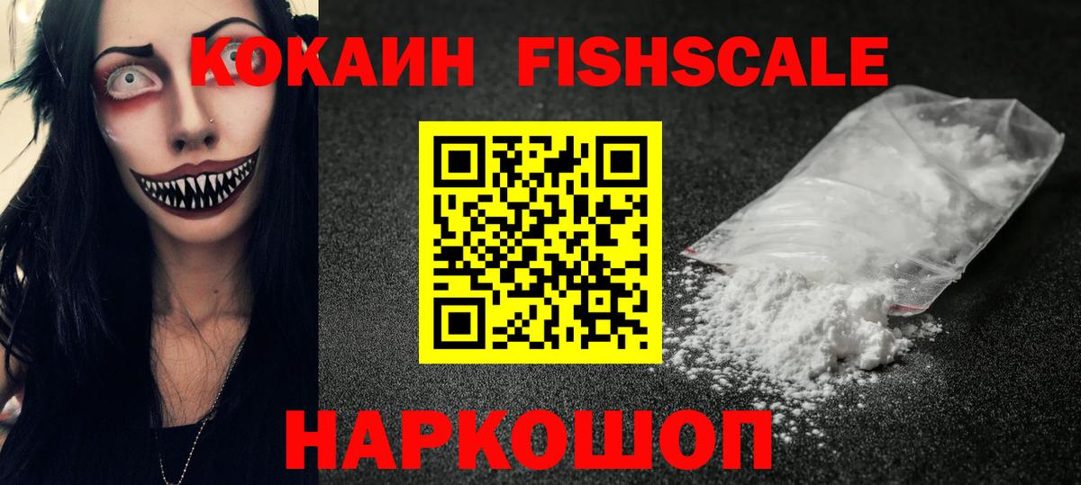 Cocaine Fish Scale  Воркута  как найти наркотики  Кокаин Эквадор 