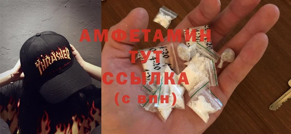 ГАЛЛЮЦИНОГЕННЫЕ ГРИБЫ Вязники