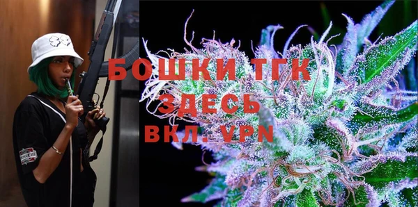 ГАЛЛЮЦИНОГЕННЫЕ ГРИБЫ Вязники