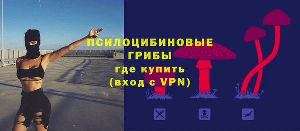 ГАЛЛЮЦИНОГЕННЫЕ ГРИБЫ Вязники