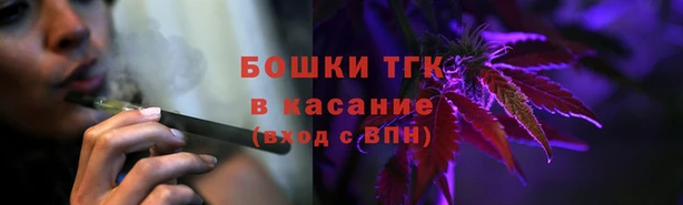 ГАЛЛЮЦИНОГЕННЫЕ ГРИБЫ Вязники