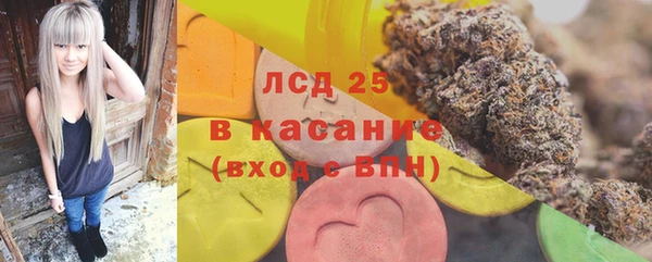 ГАЛЛЮЦИНОГЕННЫЕ ГРИБЫ Вязники