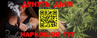 крисы Бийск