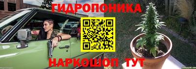 крисы Бийск