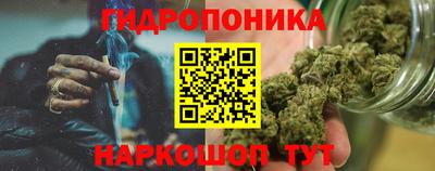 мяу мяу мука Беслан