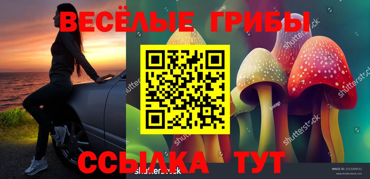 Псилоцибиновые грибы Cubensis Воркута