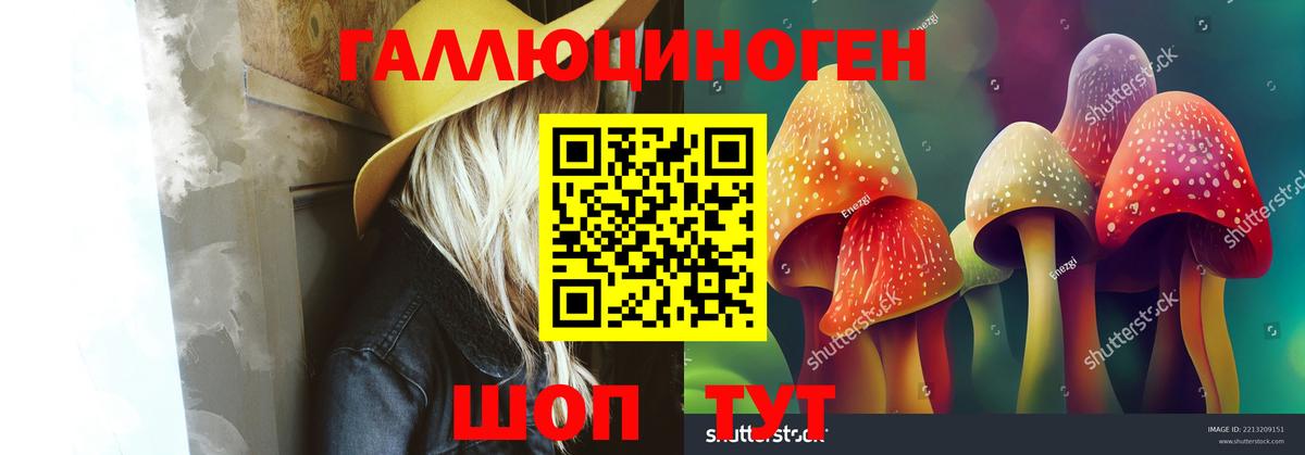 Псилоцибиновые грибы MAGIC MUSHROOMS  Псилоцибиновые грибы Psilocybe  Вход с VPN  Воркута 