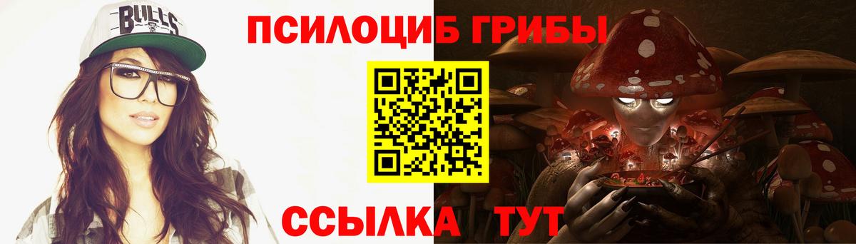 Псилоцибиновые грибы Cubensis  Воркута 